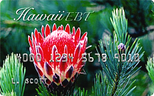 Hawaii Chase U Card